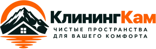 Логотип КлинингКам